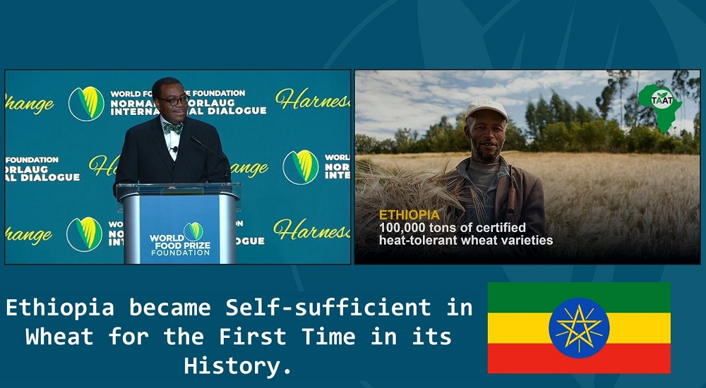 رئيس بنك التنمية الأفريقي: أن إثيوبيا حققت الاكتفاء الذاتي من القمح لأول مرة  في تاريخها